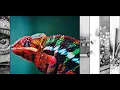 CSS Full screen Slide show using HTML CSS
