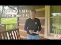 Carpenter Bee Prevention Tips Honest Abe Log Homes