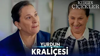 Neriman'ın Dengesiz Halleri 😅 - Kırgın Çiçekler Kolaj