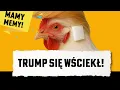 Download Lagu Internet bezlitosny dla Trumpa. Trump wściekły! Mamy memy!