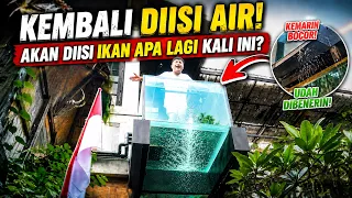 CUMAN DALAM 3 HARI AQUARIUM GANTUNG INI LANGSUNG TEST AIR!