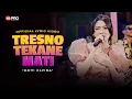 Lagu TRESNO TEKANE MATI - Gedene Cintaku Luar Biasa - Ochi Alvira (Official Lyric Video)