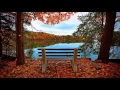 Lakeside View FREE JIGSAW DOWNLOAD ALL IMAGES