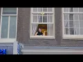 Download Lagu Sammer (29) woont aan het Damrak in Amsterdam | FANCLUB CENTRUM