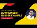 Learn Apex Triggers Part 5 Before Insert Trigger Example