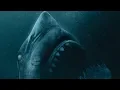 47 Meters Down Uncaged - wikimovie