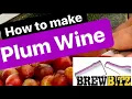 How to make Plum Wine Recipe by Brewbitz Homebrew