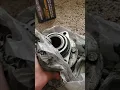 Are Wheel hubs from Detroit Axel good