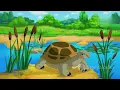 Lagu THE SONG OF WIGGLY TURTLE