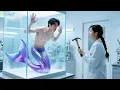 Download Lagu Pertemuan takdir!Gadis menolong pangeran duyung terluka—siapa sangka mereka jatuh cinta seketika!