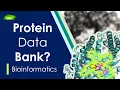 How to Use Protein Data Bank What is PDB PyMol Series Part-1 Basic Science Series