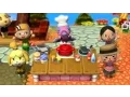 Animal Crossing Amiibo Festival - November