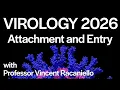 Virology Lectures 2026 Attachment and Entry
