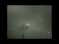 Hood Canal Underwater 19 highlight