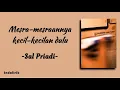 Download Lagu Sal Priadi - Mesra-mesraannya kecil-kecilan dulu | Lirik Lagu