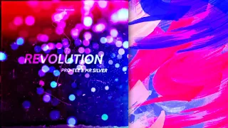 pro tee revolution mr silver 