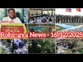 Lagu Rohingya News - ARC News Today - 16/12/2025 - Tuesday 