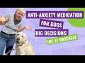 Anti-Anxiety Medication for Dogs - The Obstacle to Saying YES