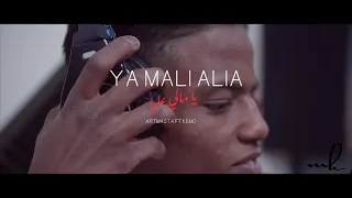                         يا مالي عليا نظري          دندنها