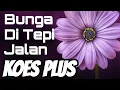 Download Lagu Koes Plus | Bunga Di Tepi Jalan (Lirik)