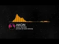 Akon - Don't Matter (Cover by Katzi Reign)