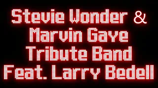 Download Wonder What's Going On Promo - Steve Wonder \u0026 Marvin Gaye Tribute Band MP3