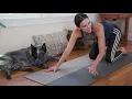 Yoga To Heal Stress  |  20-Minute Yoga Practice