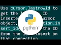 How do I get the id after INSERT into MySQL database with Python