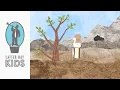 Elijah and the Still Small Voice Animated Scripture Lesson Come Follow Me Jun 29 - Jul 5