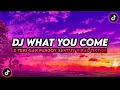Download Lagu DJ WHAT YOU COME X TEKI GAN PARGOY TERBARU ll DJ PEUK