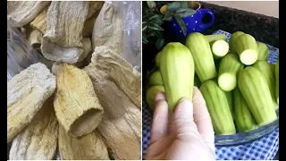 لا تفرزيها قشريها وبطريقتي خزنيها تخزين الكوسا للشتاء من غير فريزا مطبخ وفاء الحموي تخزين 2022 