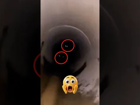 كاد ان فقد صوابه بس طلع سليم ….