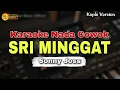 Download Lagu SRI MINGGAT - SONNY JOSS || KARAOKE LIRIK VERSI DANGDUT KOPLO || NADA COWOK