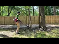 25cc Craftman Pole Saw first impressions 15ft tree