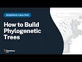 Build a Phylogenetic Tree in Geneious Prime From Sequences to Publication-Ready Figure