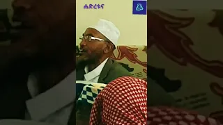 ሸህ ሙሐመድ አወል ሀምዛ Sheh Mohamed Awol Hamza Shorts 