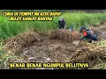 Lagu BENAR BENAR NGUMPUL BELUTNYA..CUMA DI TEMPAT INI KITA DAPAT BELUT SANGAT BANYAK