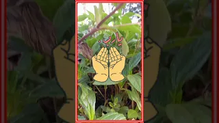 دعاء الصباح أذكار الصباح حالات واتس صباح الخير صباحيات دعاءمستجاب صباح الخير 