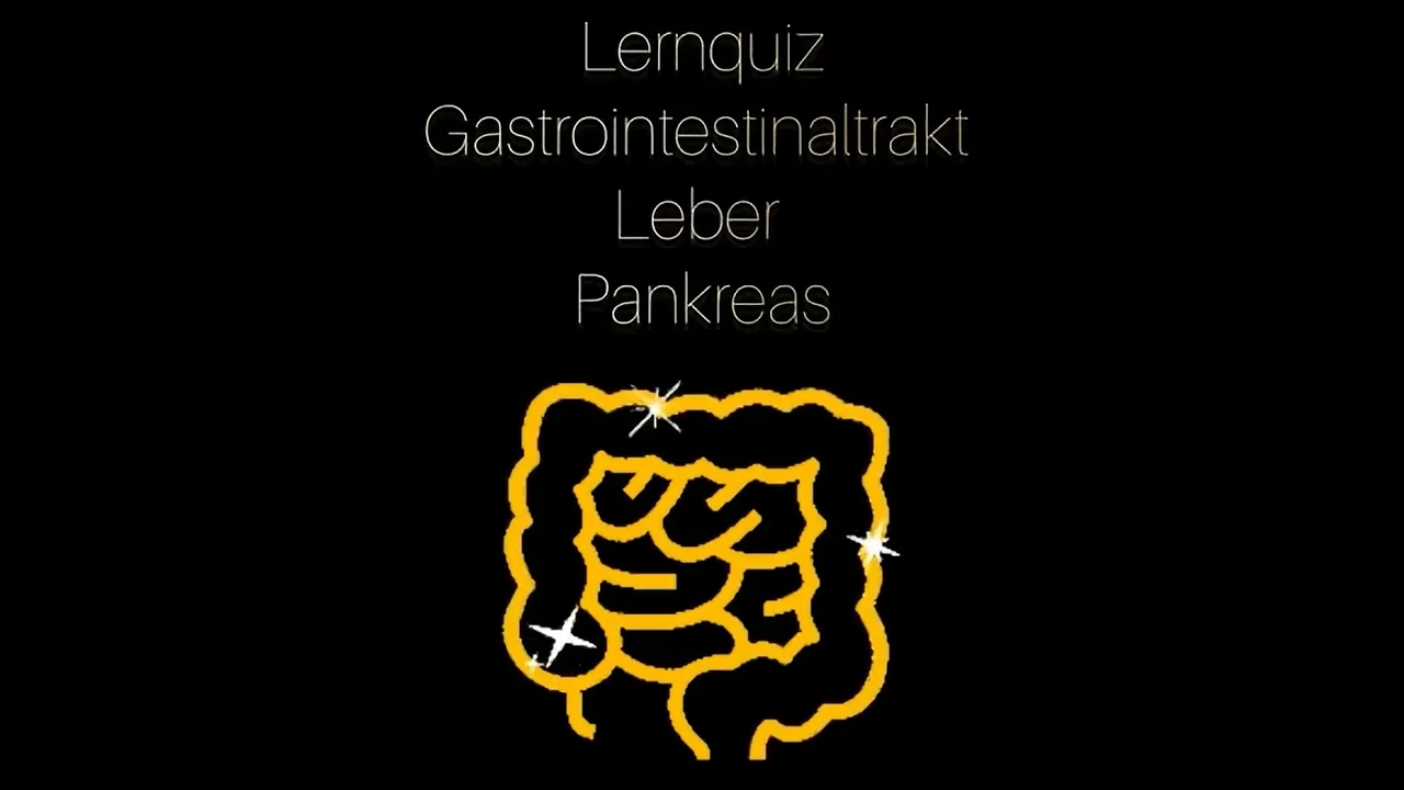 Quiz Anatomie Physiologie Organsysteme - Interne Prüfung Teil 2 Gastrointestinaltrakt Leber Pankreas