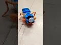 Spider train#Thomas The tank engine#Thomas train#ytshorts