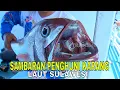 Download Lagu [FULL] SAMBARAN PENGHUNI KARANG LAUT SULAWESI | MANCING MANIA STRKE BACK (05/07/25)