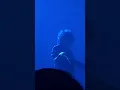 The Mars Volta- The Salt Shed, Chicago 11/14/25