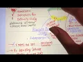 Intraperitoneal vs extraperitoneal bladder rupture