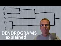 Hierarchical Clustering DENDROGRAMS - what are they and how are they used