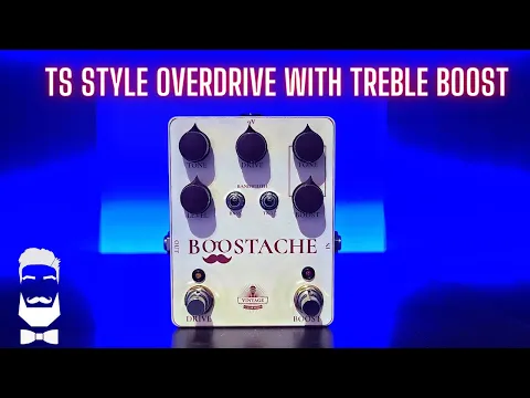 Vintage Guitar Nerds Boostache | Delicious Audio