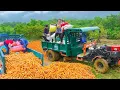Download Lagu Harvesting a Truckload of Corn from Villagers - Farm Life \u0026 Selling at Market
