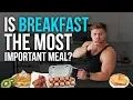 Is BREAKFAST The Most Important Meal Of The Day What The Science Says
