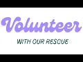 Become a Volunteer with The Southeast German Shepherd Rescue