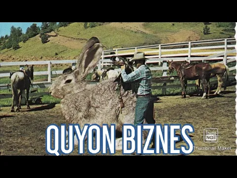 QUYON BOQISH 2 QISM BIZNES SHOV UZ SIRLARDA