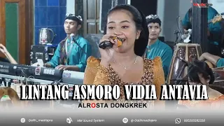 lintang asmoro vidia antavia feat alrosta dongkrek mm sound system mediapro shooting